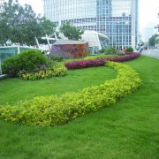 roof garden uni