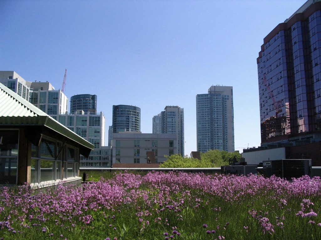 Gigantic business park to be built on Váci Avenue